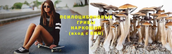 гидропоника Пролетарск