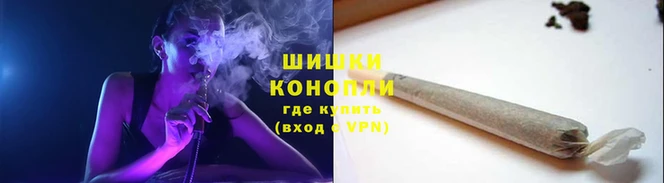 дмт Протвино