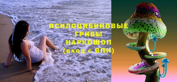 дмт Протвино