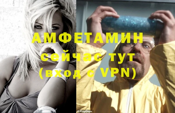 дмт Протвино