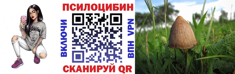 кракен как зайти  Котельнич  Псилоцибиновые грибы мухоморы 